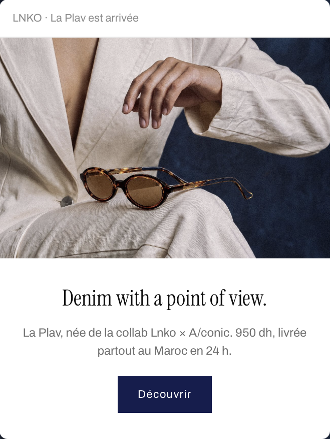 Newsletter Lnko, la Plav est arrivée